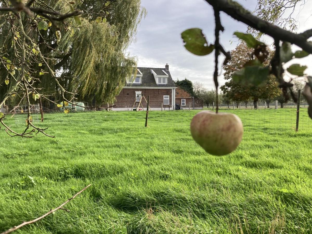 Landhuis 'De Ontspanning' Axel ภายนอก รูปภาพ